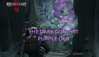 Dark Conduit Remnant 2
