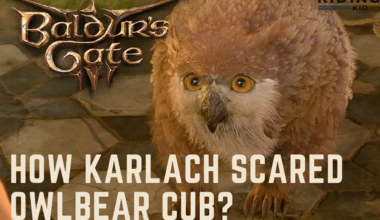 Featured image of How Karlach Scared Owlbear Cub.