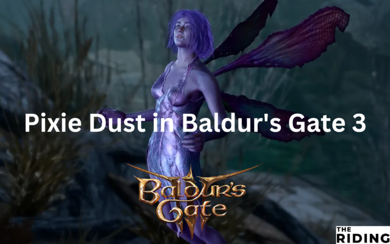 Pixie Dust in Baldur's Gate 3