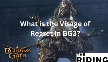 visage of regret bg3
