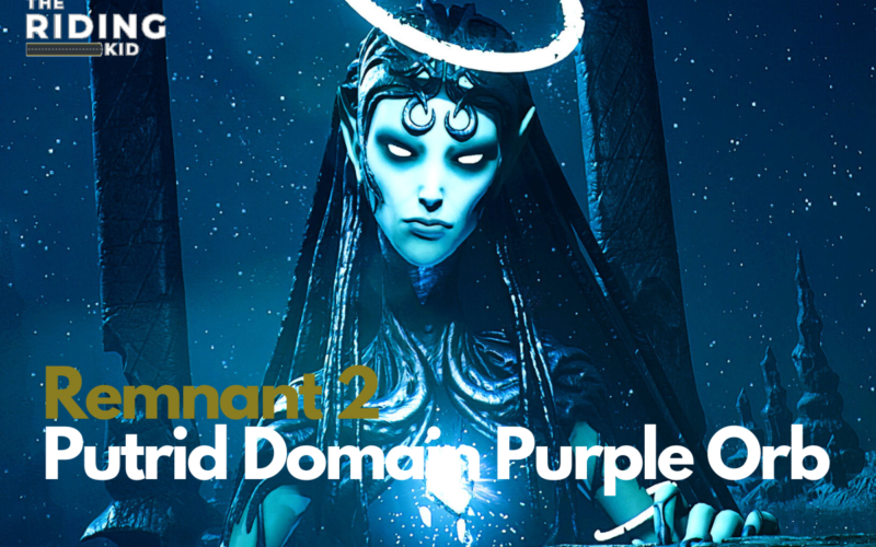 Purple Orb in Putrid Domain Remnant 2