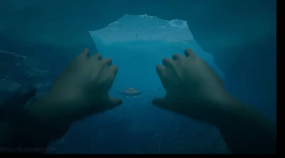 Breathtaking view Under water in eren island