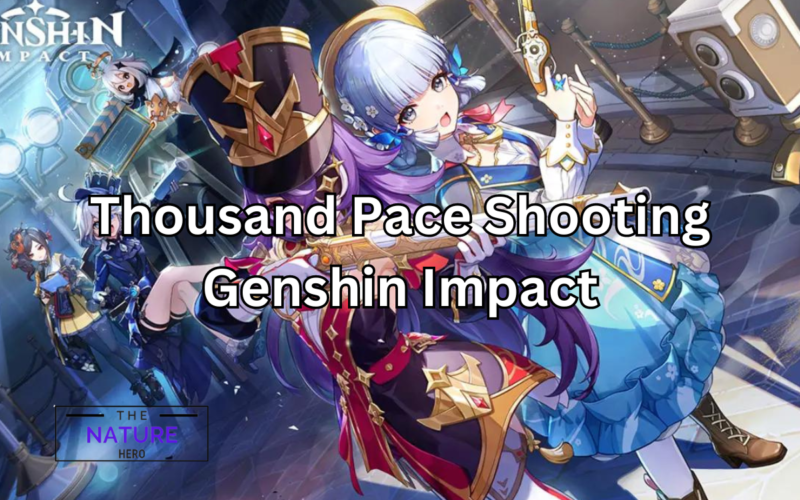 thousand pace shooting genshin impact