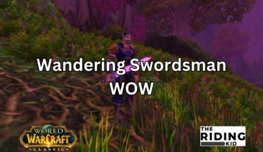 wandering swordsman wow