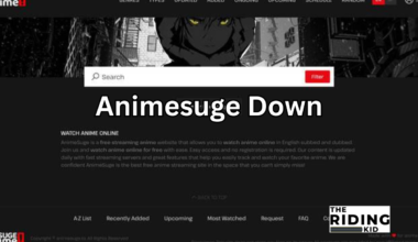 animesuge down