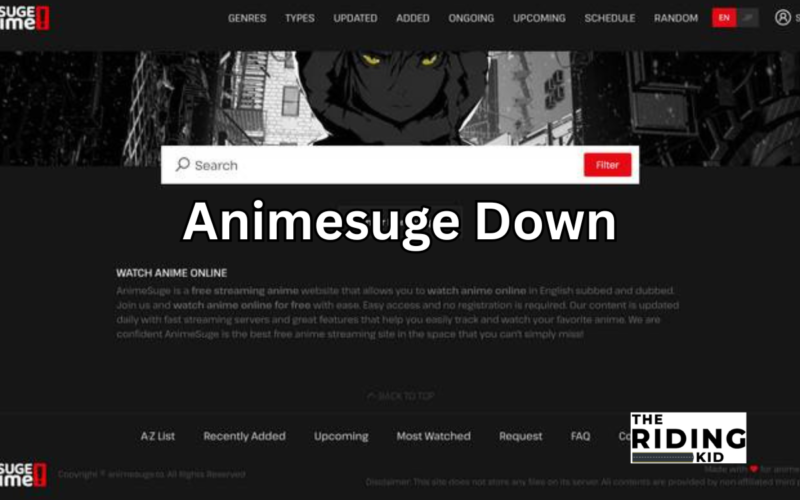 animesuge down