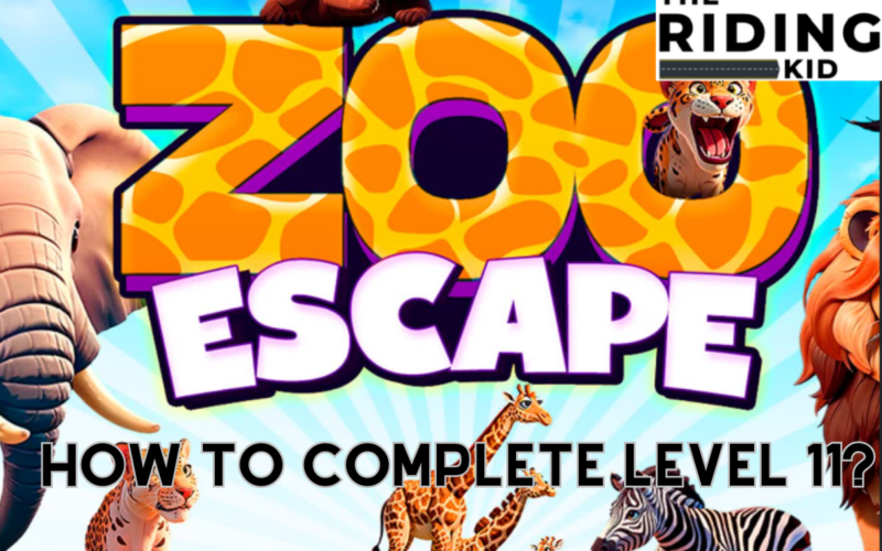 How To Complete Zoo Escape Level 11
