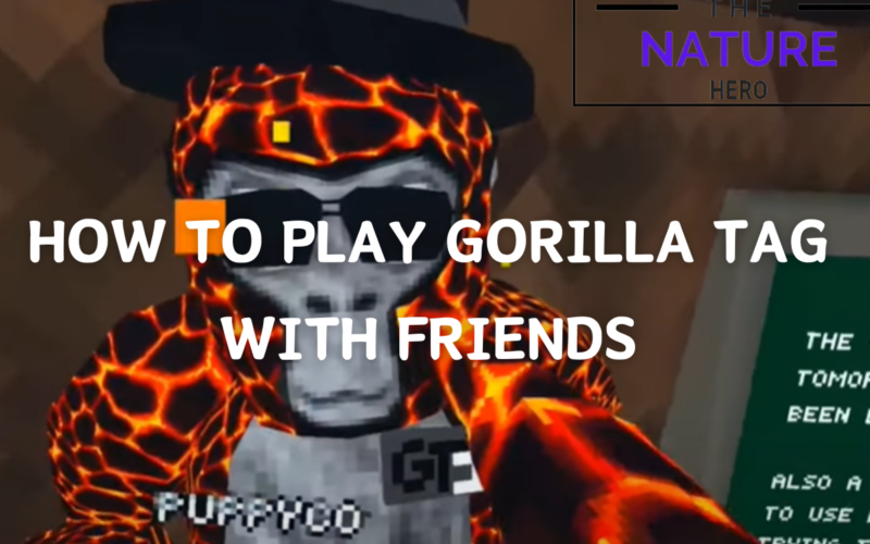 How To Play Gorilla Tag With Friends