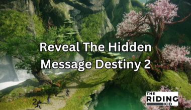 reveal the hidden message destiny 2